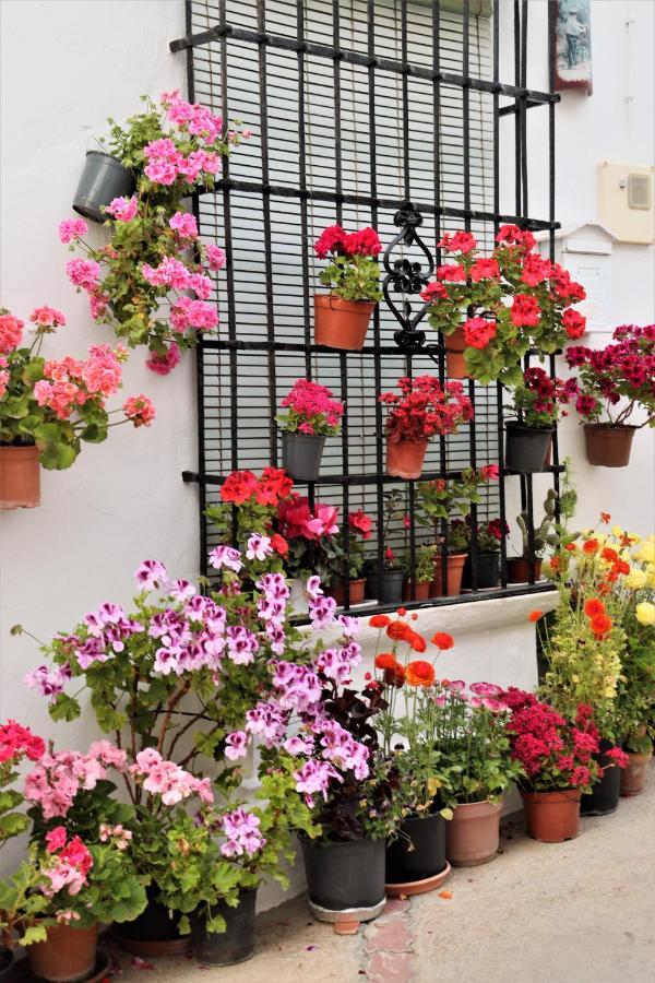 Hostal Moncada Gaucín Zewnętrze zdjęcie