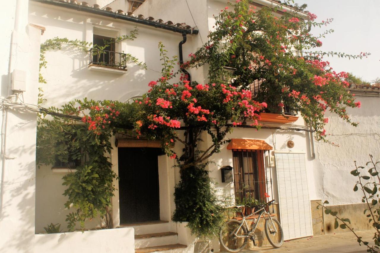 Hostal Moncada Gaucín Zewnętrze zdjęcie