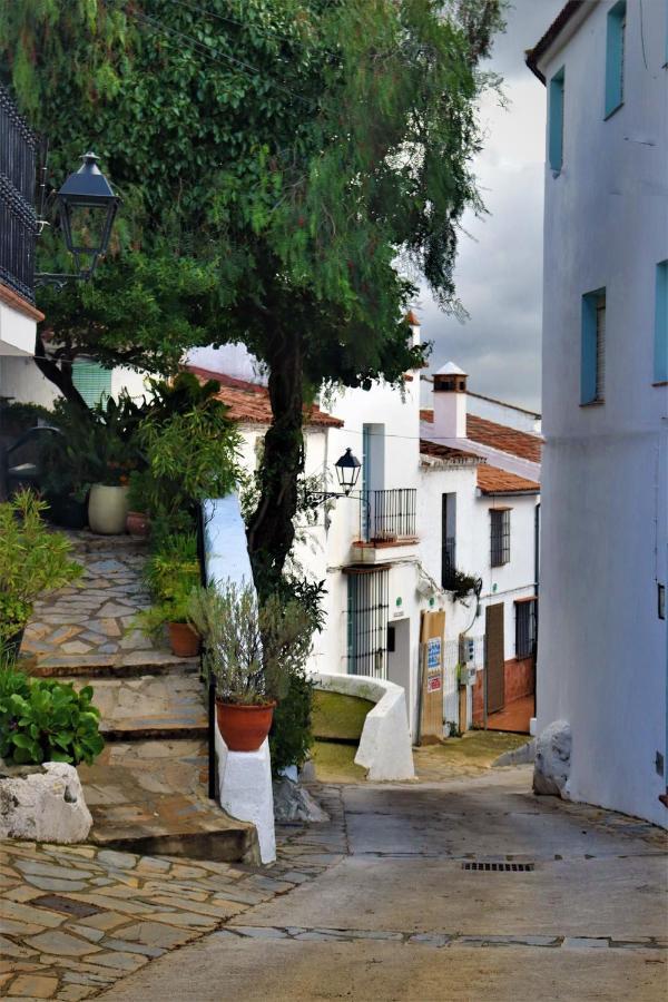 Hostal Moncada Gaucín Zewnętrze zdjęcie