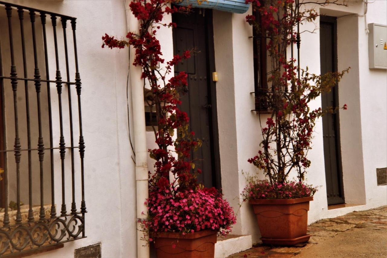 Hostal Moncada Gaucín Zewnętrze zdjęcie