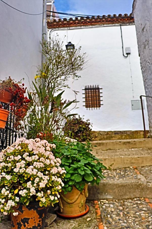 Hostal Moncada Gaucín Zewnętrze zdjęcie